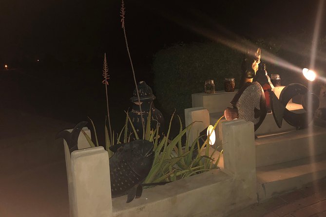 Private Desert Safari With Premium Camp - Safety and Accessibility Information