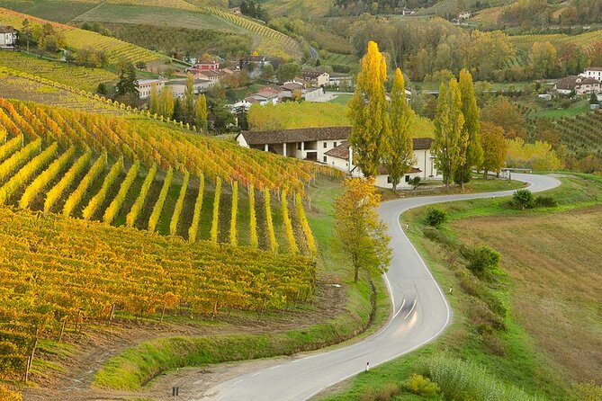 Private E-Bike Tour Langhe Del Barbaresco - Asphalt Only - Pricing and Booking Information