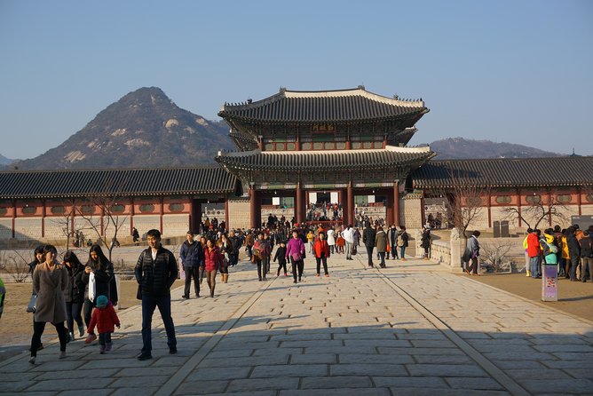 Private English Speaking Driver in Seoul: Airport Service Available - Customer Support and Interaction