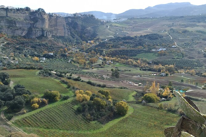 Private Excursion to Ronda From Costa Del Sol 7 Hours - Local Expertise