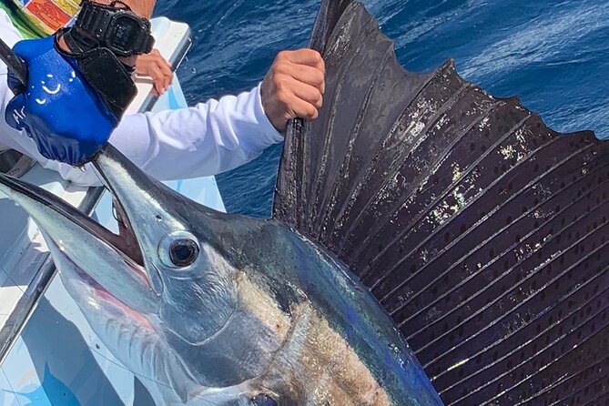 Private Extreme Fun Filled Deep Sea Charter Fishing Activity in Marathon, FL. - Customer Reviews and Ratings