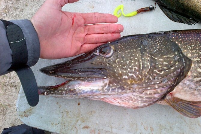 Private Fishing Adventure on the St. Lawrence River - Highlights of the Experience