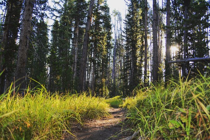 Private Full-Day Grand Canyon of Yellowstone Hiking Adventure (Up to 8 People) - Customer Reviews