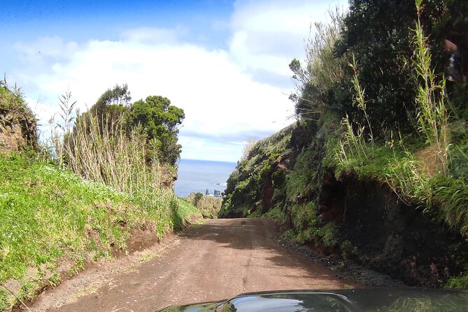Private Full Day off Road Tour in Azores - Customer Experiences