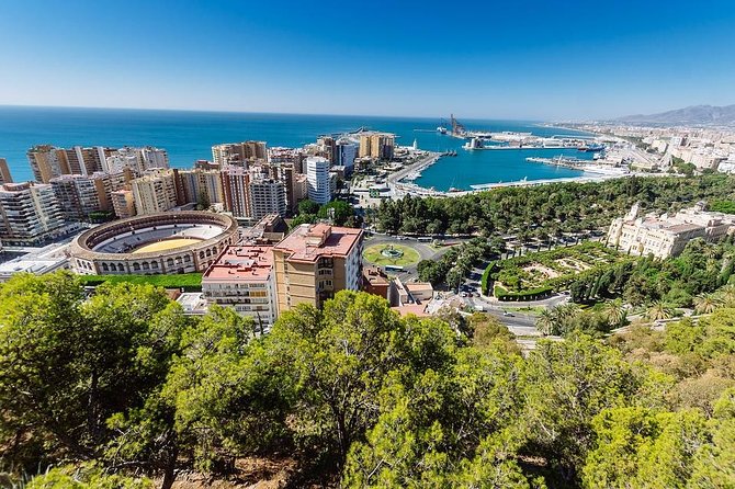 Private Full-Day Tour to Malaga From Seville With Hotel Pick up & Drop off - Private Transportation and Guide
