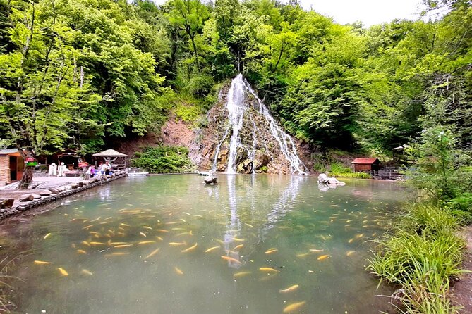 Private Gabala -Tufandag Day Trip in Nature - Booking and Cancellation