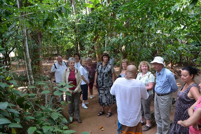 Private Galle Day Tour With Boat Safari & Tea Factory Visit - All Inclusive - Booking Information
