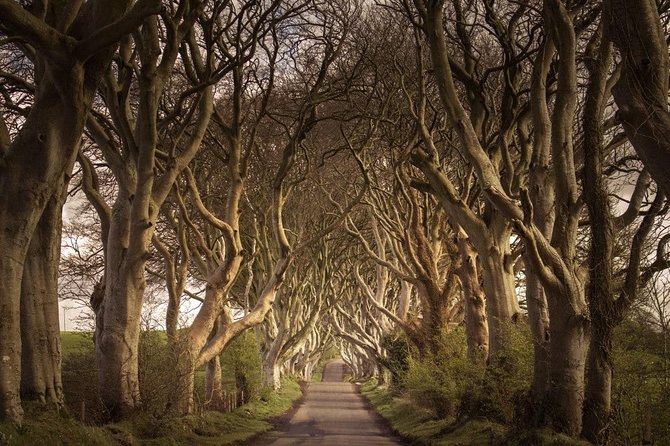 Private Giants Causeway Experience Extended From Belfast - Customer Reviews