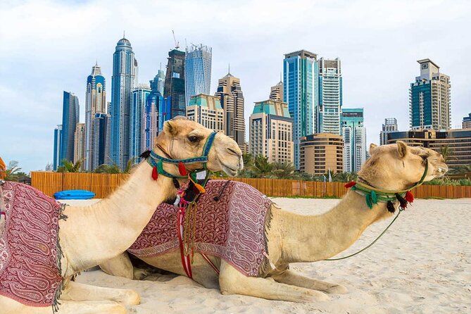 Private Guided Dubai City Sightseeing Tour - Tips for a Great Experience