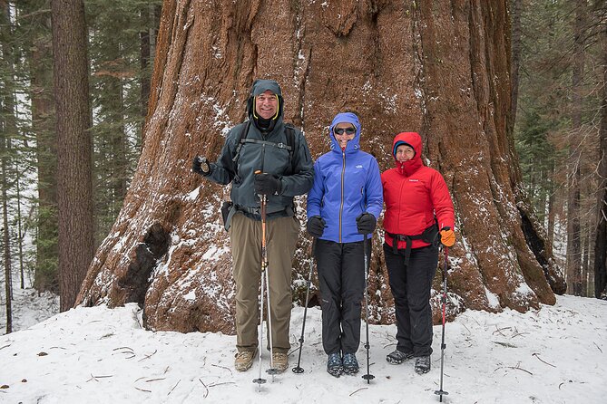 Private Guided Snowshoe Hike in Yosemite - Sum Up