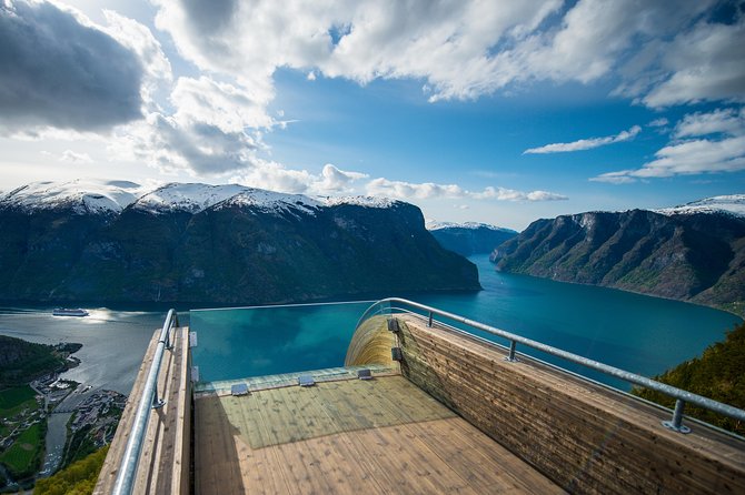 Private Guided Tour to Oslo - Nærøyfjord Cruise and Flåm Railway - Inclusions and Amenities