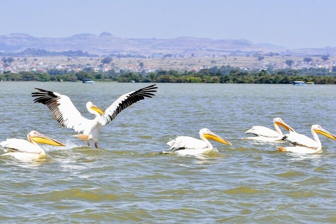 Private Guided Tours To Bahir Dar Lake Tana Monastery & Blue Nile Waterfalls - Important Tour Details and Logistics