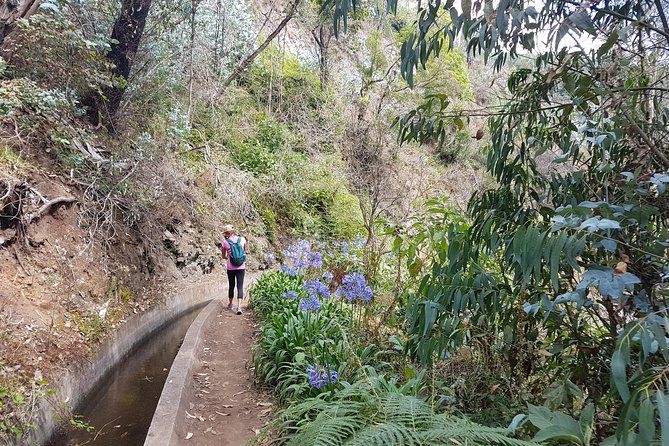 Private Guided Walk Levada Monte to Palheiro Ferreiro - Accessibility and Accommodations
