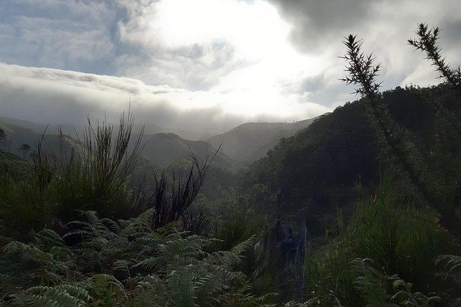 Private Guided Walk Levada Ponta Do Pargo - Dining Options