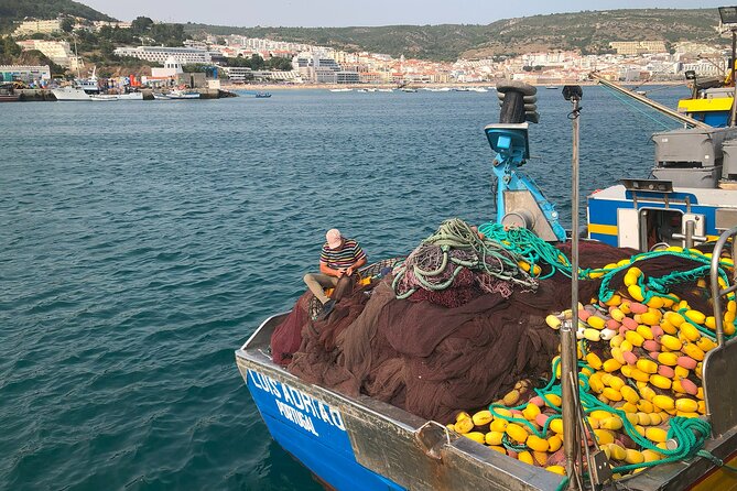 Private Half Day Arrabida Tour With Wine Tasting in Sesimbra - Winery and Tile Manufacturer Visit
