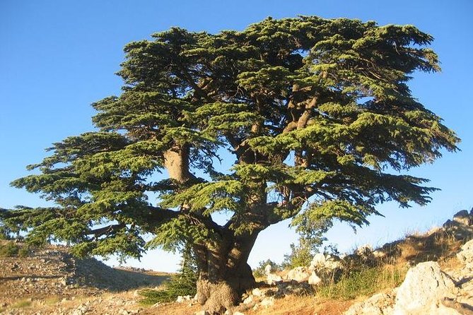PRIVATE Half-Day Tour to Beiteddine Palace & Deir Elqamar - Inclusions and Pricing Information