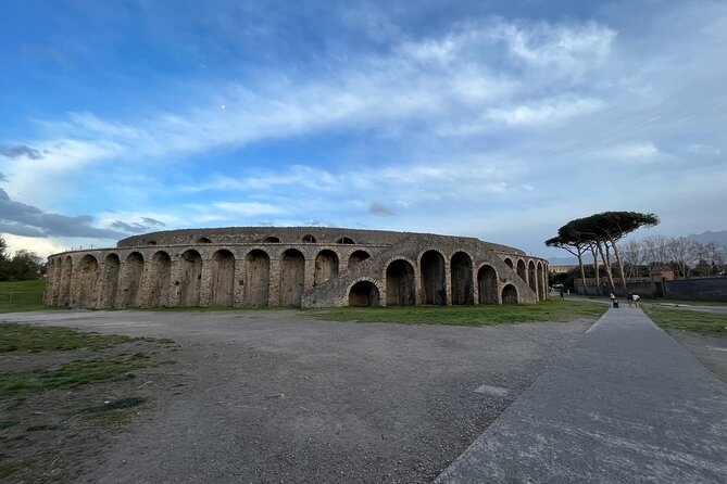 Private Half Day Tour to the Ruins of Pompeii - Customer Reviews