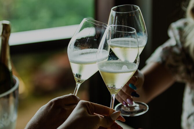Private Hedonistic Food and Wine Experience From Zagreb - Luxury Car Transfer