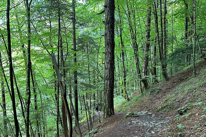 Private Hiking Tour to Olympus Mountain - Tips for Your Hiking Adventure