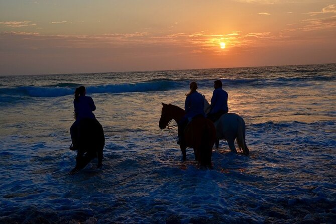 Private Horseback Beach and La Bufadora Shore Excursion - Safety Considerations