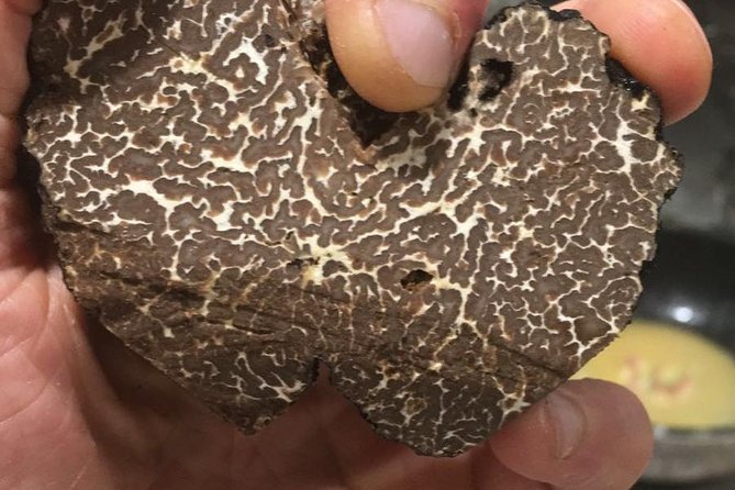 Private Hunting Of Truffle And Mushrooms With Chef Luigi Gandola In Bellagio - Experiencing the Intimate Family-Owned Setting
