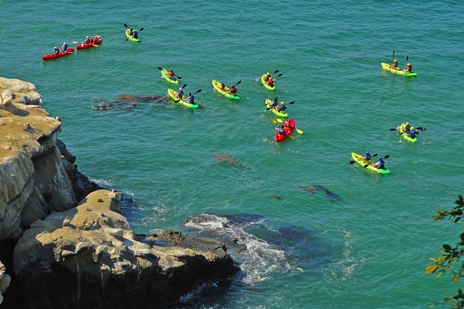 Private Instagrammable San Diego Tour – Scenic and Coastal - Cancellation and Flexibility Policy