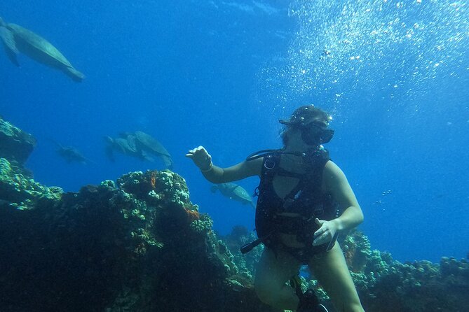 Private Intro SCUBA Adventure - Scuba Gear Provided