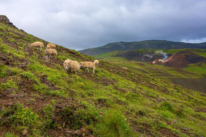 Private Jeep Tour - Game of Thrones Experience - Tour Highlights and Inclusions