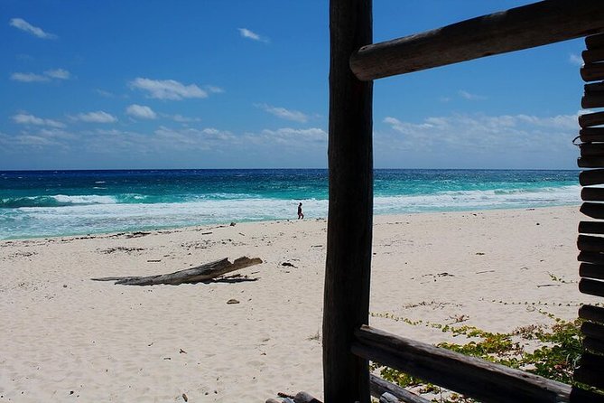 Private Jeep Tour in Cozumel - Customizable Itinerary Options