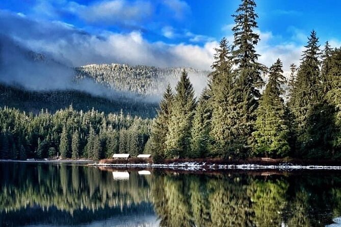 Private Ketchikan City Totems & Wildlife Van Tour - Customer Reviews and Feedback