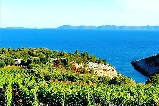 Private Korcula Wine Tour and Tasting - Local Guides Expertise