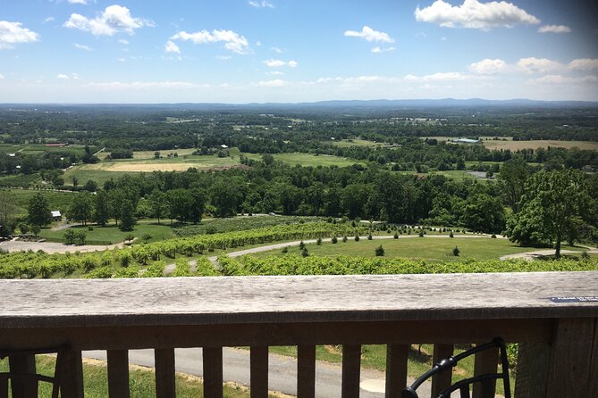 Private Loudoun County Wine Tour From DC With Stops at 3 Wineries - Important Guidelines