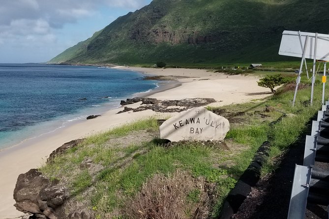 Private Luxury 5hr Dole,Northshore,Waikiki Group Priced Tour - Safety Measures