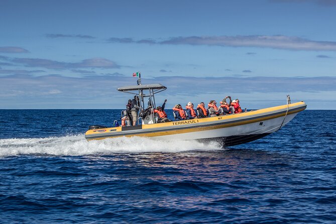 Private Marine Wildlife Boat Tour - Booking Your Tour