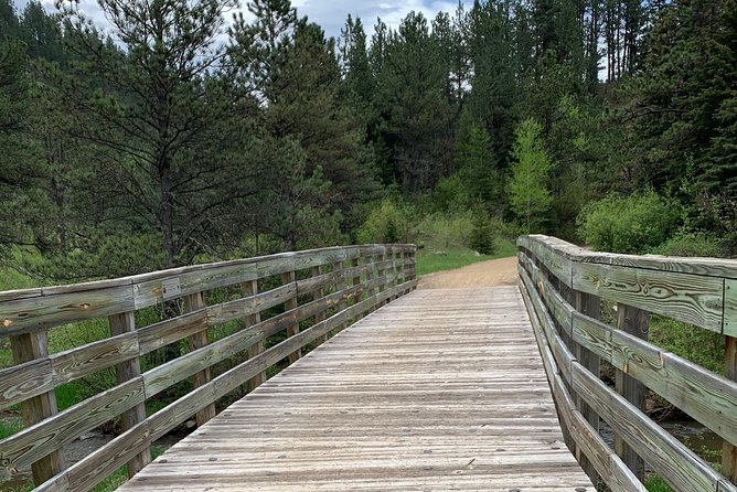Private Mickelson Trail Bicycling Tour - Preparation and Fitness Level