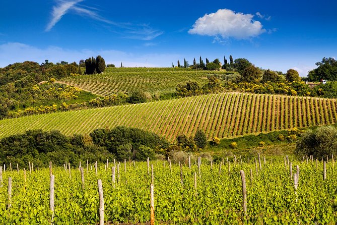 Private Montalcino and Pienza Tour From Siena - Customer Reviews