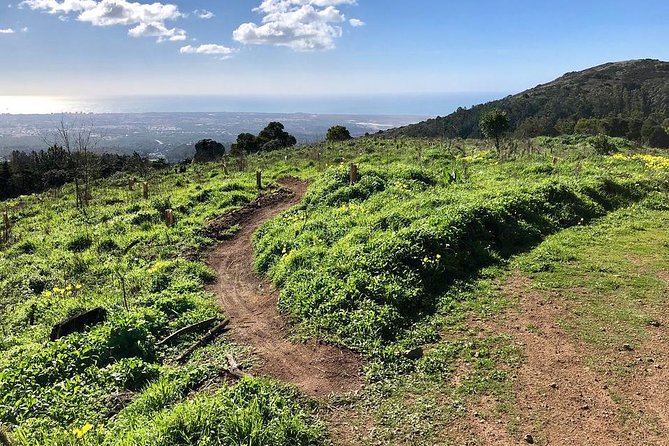 Private Mountain Biking Adventure in Sintra Cascais Park - Customer Reviews and Ratings