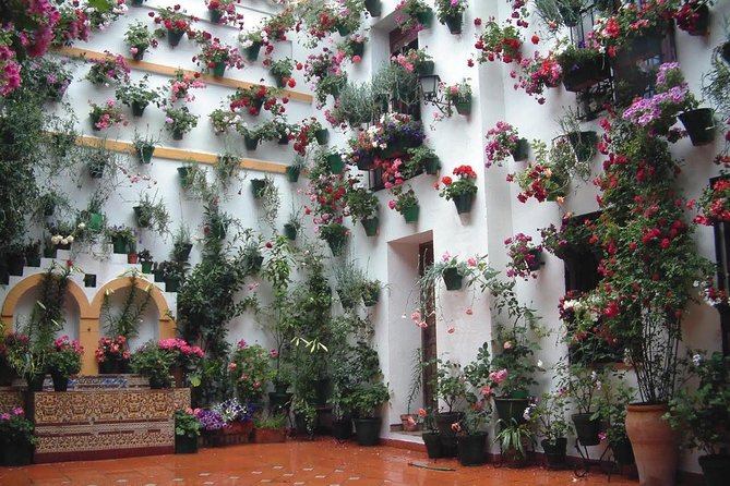Private Old Cordoba Walking Tour and Mosque-Cathedral - Cancellation Policy and Refund Eligibility