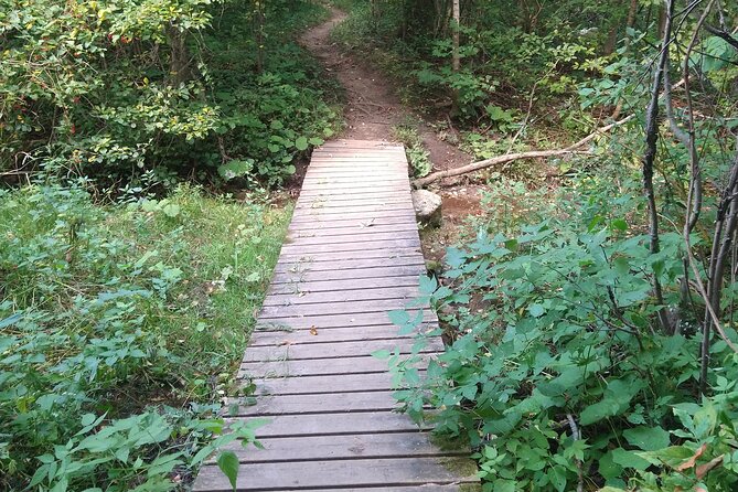 Private Singhampton Caves Hiking Tour, Collingwood/Blue Mountain - Scenic Views