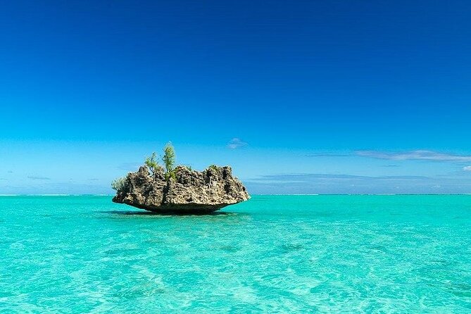 Private Speed Boat Tour and Dolphin Encounter at Ile Aux Benitier - Customer Experiences
