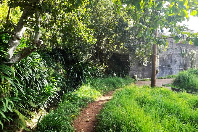 Private Sunrise Tour at Pico Do Arieiro With Breakfast Included - Pickup Details and Transportation