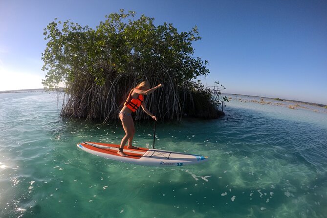 Private SUP Tour - Wildlife and Natural Features