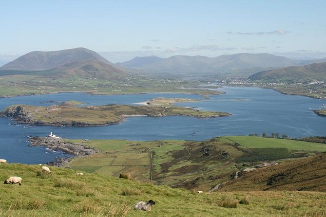 Private Tour Dingle Ring & Slea Head Drive - Why Choose a Private Tour