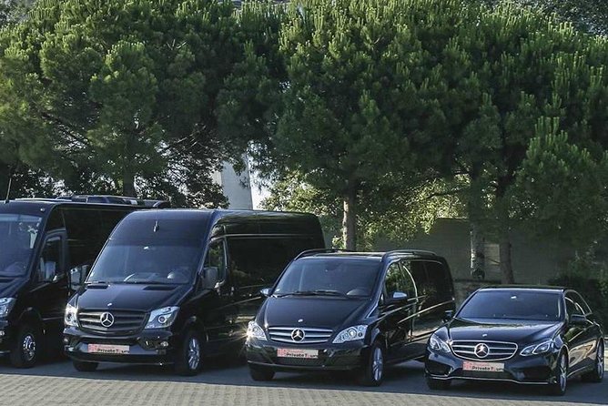 Private Tour: Ghent and Bruges From Brussels Full Day - Transportation and Guide Expertise