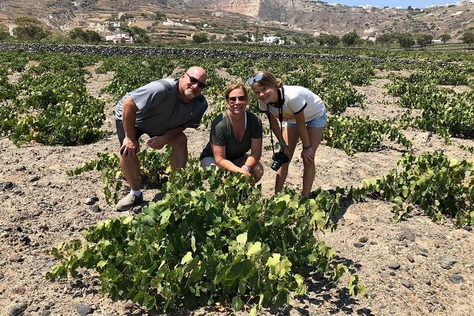 Private Tour: Great Wines and Famous Towns of Santorini - Scenic Vistas
