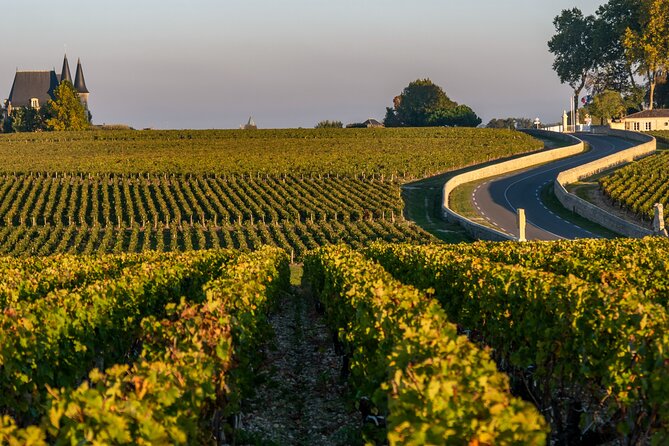 Private Tour in the Médoc in a Classic Car - Exploring the Médoc