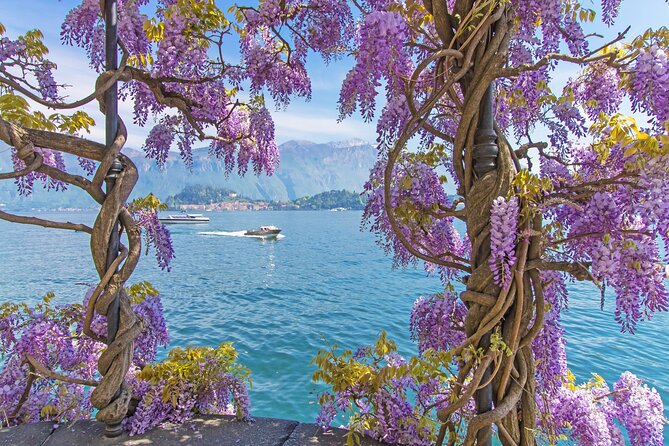 Private Tour: Lake Como From Milan With Private Driver and Boat - Positive Customer Feedback