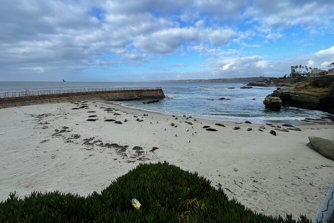 Private Tour of San Diego in a Lexus ES300 Hybrid - Flexibility in Itinerary Planning