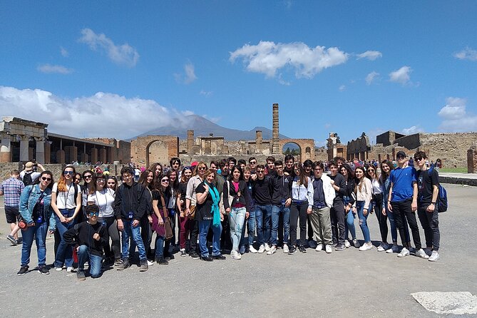 Private Tour of the Pompeii Excavations - Highlights of the Tour