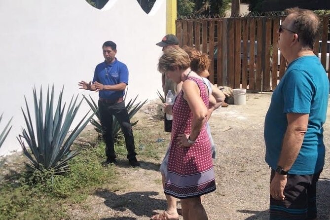 Private Tour, Sayulita & San Pancho - Tour Activities